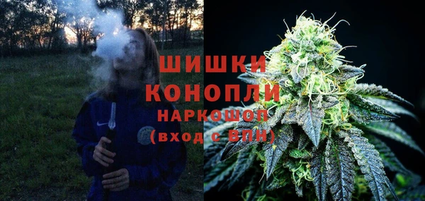 ГАЛЛЮЦИНОГЕННЫЕ ГРИБЫ Абаза