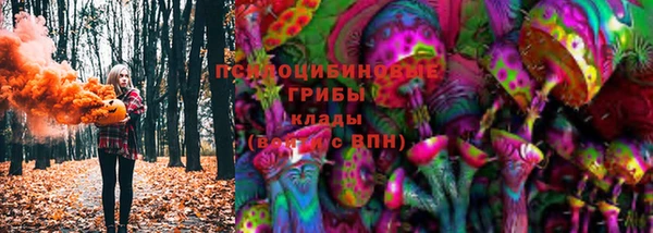 гидропоника Алзамай