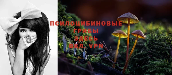 гидропоника Алзамай