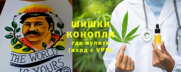 гидропоника Алзамай