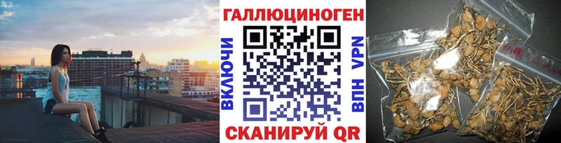 где найти наркотики  Владикавказ  Псилоцибиновые грибы мицелий 